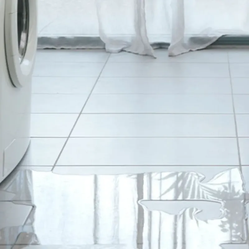 Appliance Leak Cleanup in Chester, CA